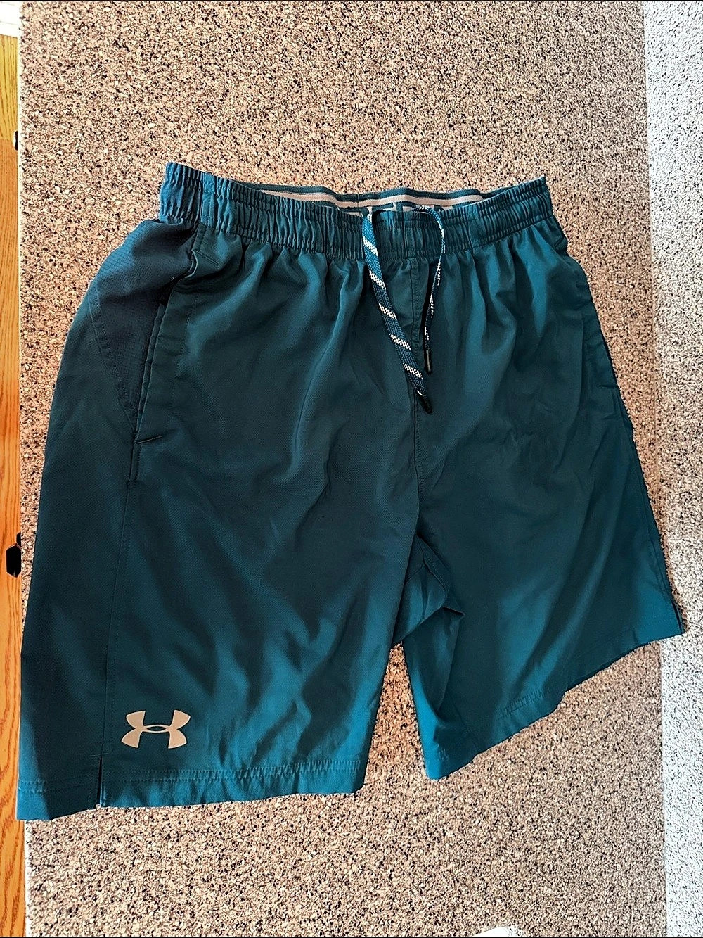 Under Armour Athletic Shorts in Blue